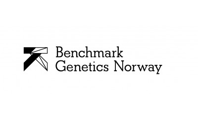 BENCHMARK GENETICS NORWAY AS