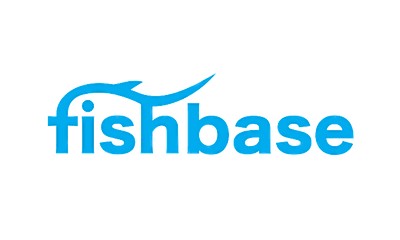 FISHBASE SALMON AS