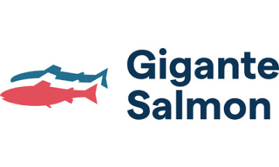 GIGANTE SALMON RØDØY AS