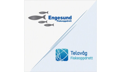 TELAVÅG FISKEOPPDRETT AS